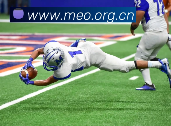 milan米兰官网平台生态图